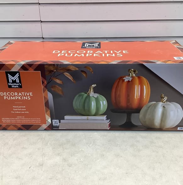Member's Mark Decorative Pumpkins, Set of 3