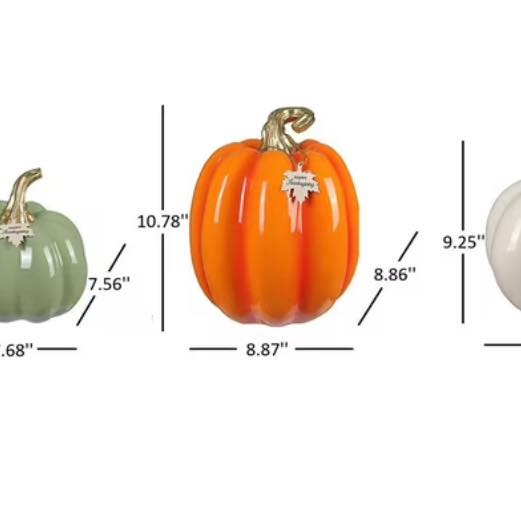 Member's Mark Decorative Pumpkins, Set of 3