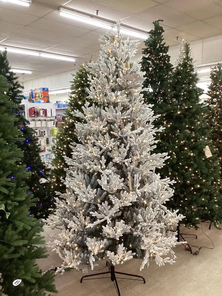 Home Decorators Collection 9ft. Kenwood Fraser Flocked Pre-Lit Tree