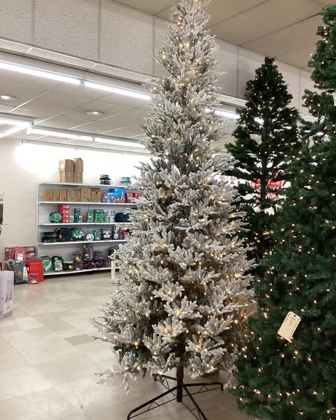 Home Decorator Collection 12 Ft. Fraser Fir Flocked LED Pre-lit Tree