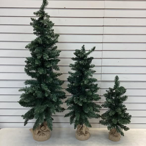 3pc Unlit Downswept Alberta Spruce Mini Artificial Christmas Trees with Burlap Base - Wondershop