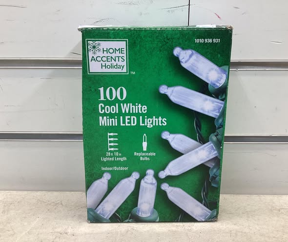 Home Accents Holiday 100 Cool White Mini LED String Lights