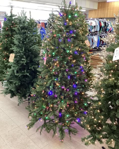 National Tree Company 6.5 ft. Downswept Douglas Fir Tree with Dual Color LED Lights