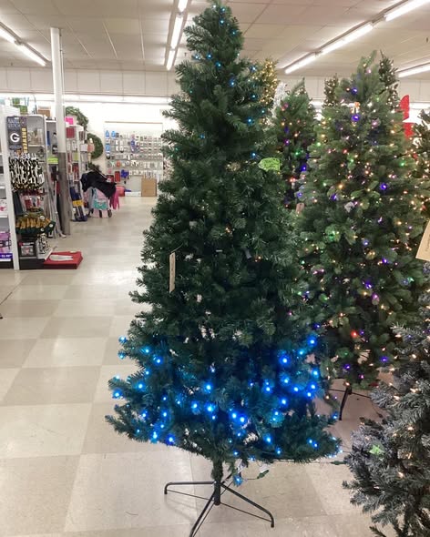 7.5' Pre-Lit LED Alberta Spruce Artificial Christmas Tree - Wondershop