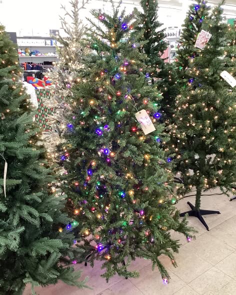 National Tree Company 6.5 ft. Downswept Douglas Fir Tree with Dual Color LED Lights