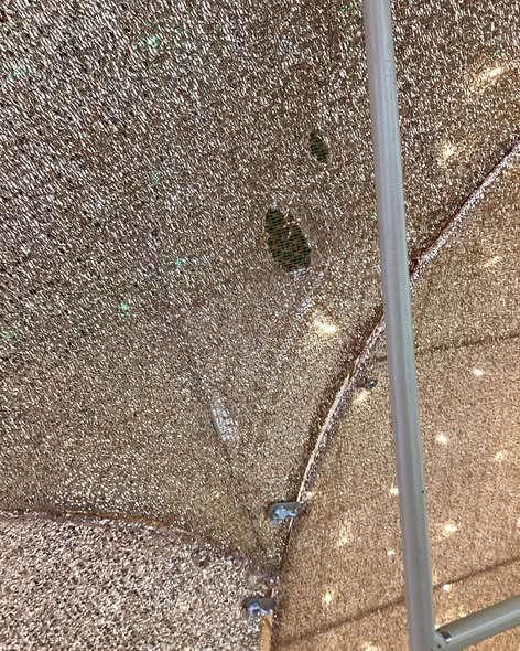 Holiday Bear with 600 LED Lights 2.7 m (9ft.) - Used