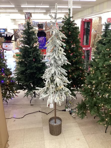 Wondershop 6 foot Flocked Alpine Balsam Fir Lit Tree in Potted Basket