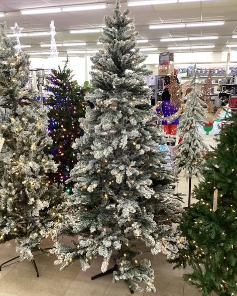 ALBERTA SPRUCE LED PRE-LIT TREE 7.5 FT.