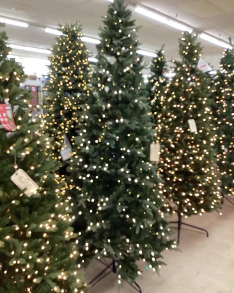 9ft pre-lit Balsam Fir Pre-Lit Christmas Tree