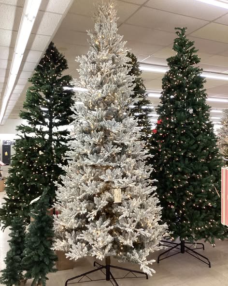 Home Decorator Collection 12 Ft. Fraser Fir Flocked LED Pre-lit Tree