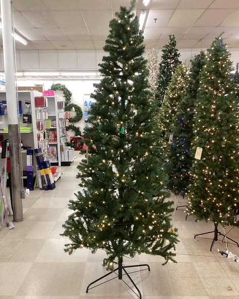 ALBERTA SPRUCE LED PRE-LIT TREE 9FT