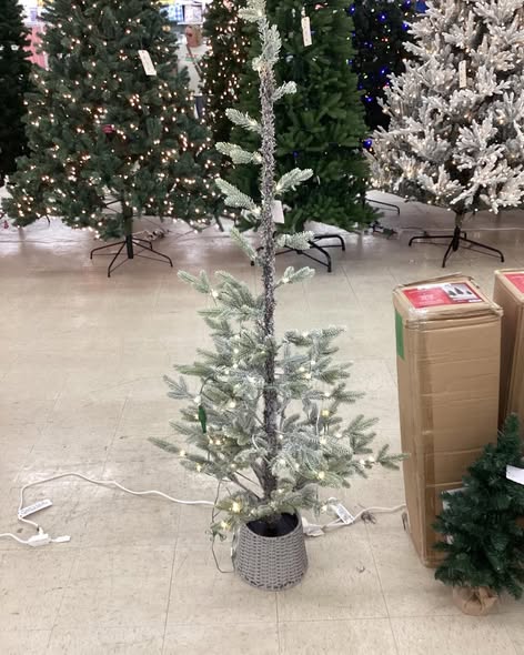 Pre-lit Flocked Balsam Fir Artificial Christmas Tree with Basket Base Warm White LED Lights - Wondershop™