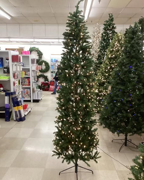 National Tree Company 9-ft Kingswood fir Pre-lit Artificial Christmas Tree with White Incandescent