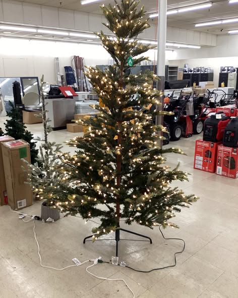 SIERRA PINE PRE-LIT TREE 7.5 FT.