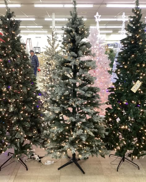 Wondershop 7.5 Foot Douglas Fir LED Pre Lit Tree