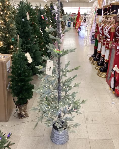 5Ft Pre-lit Flocked Balsam Fir Artificial Christmas Tree with Basket Base Warm White LED Lights - Wondershop