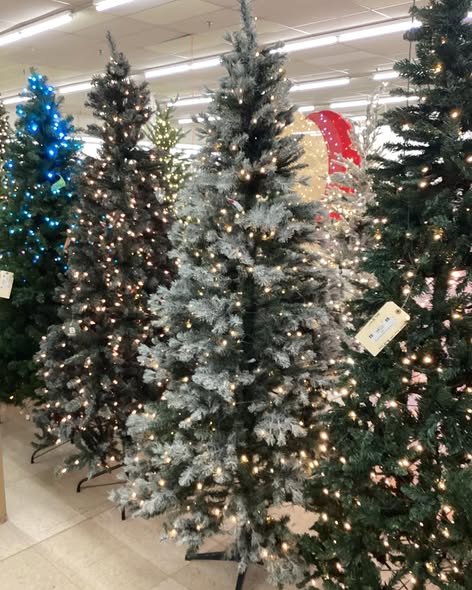 Wondershop 7.5 Foot Douglas Fir LED Pre Lit Tree