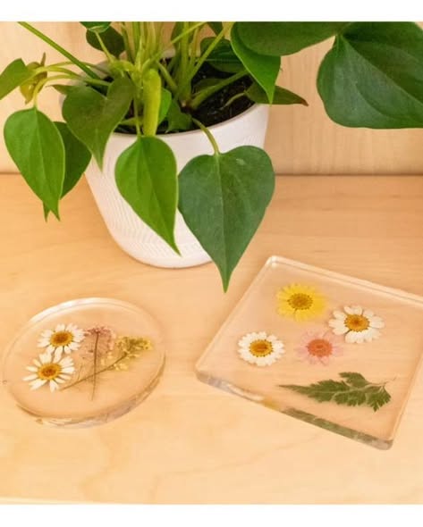 Art 101 Crafts Floral Resin Coasters Kit