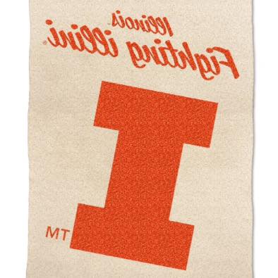 Logo Brands Illinois Fighting Illini Luxe Dreams Throw, 60" x 80"