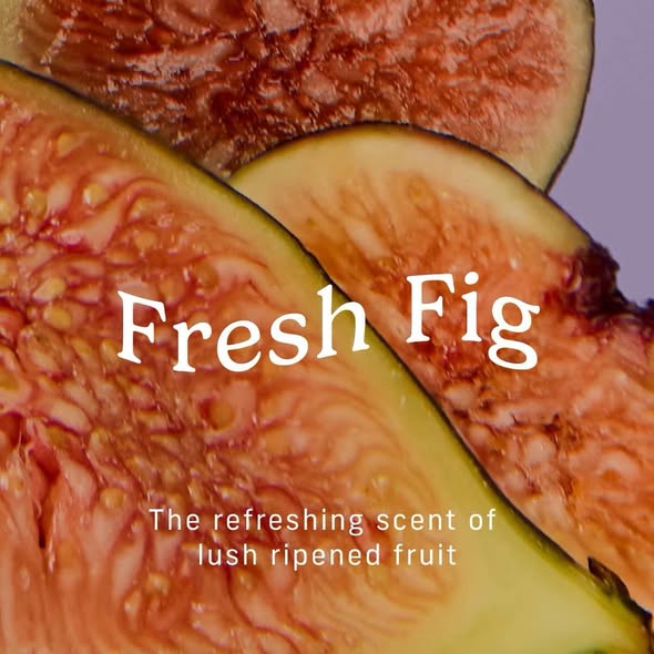 Niches & Nooks Intimate pH Balanced Body Spray & Fabric Fragrance Mist - Fresh Fig - 4.2 fl oz