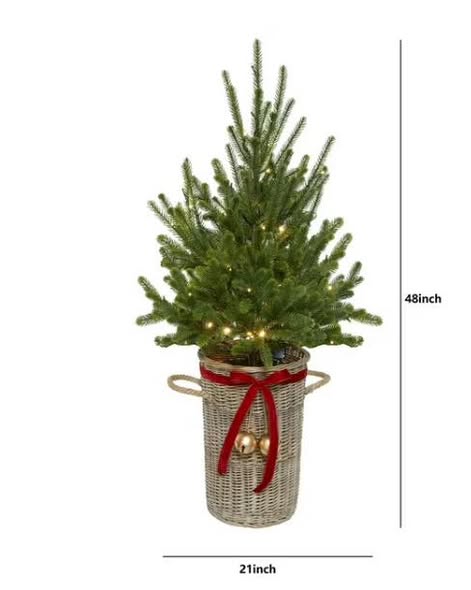 Member's Mark 48" Pre-Lit Topiary in Woven Basket