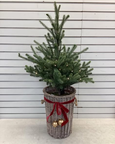 Member's Mark 48" Pre-Lit Topiary in Woven Basket