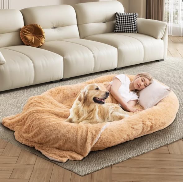 Orthopedic Dog Bed Human Dog Bed Washable Fluffy w/Soft Blanket and Plump Pillow