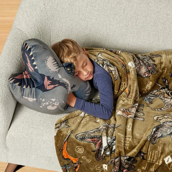 Jurassic World Hand Warmer and Throw Blanket Set