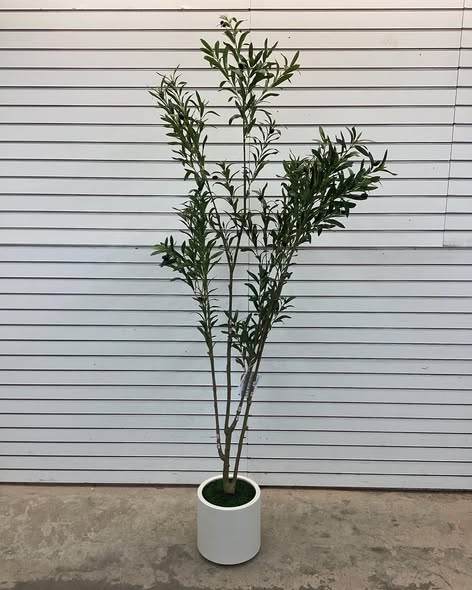 Adcock Faux Olive Tree in White Planter, Lifelike Fake Olive Plant for Indoor and Outdoor Decor - Size: 72'' H X 21'' W X 21'' D