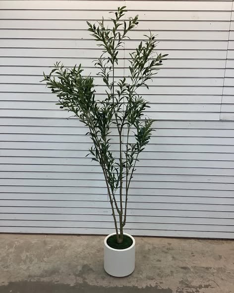Adcock Faux Olive Tree in White Planter, Lifelike Fake Olive Plant for Indoor and Outdoor Decor - Size: 72'' H X 21'' W X 21'' D