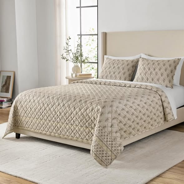 Member's Mark 3-Piece Printed Velvet Quilt Set - Full/Queen Size