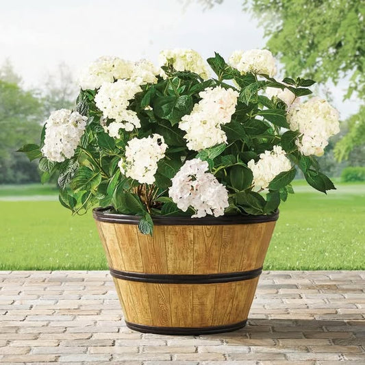 Member's Mark 22" Wine Barrel Planter