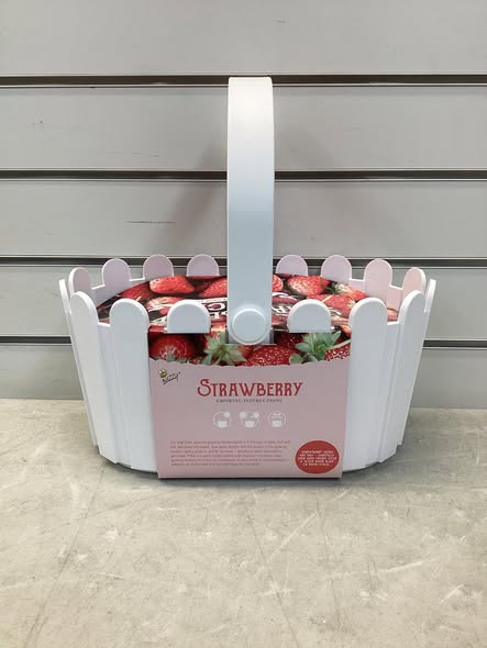 Strawberry Patch White Basket - Buzzy Seeds: Grow Kit, Full Sun, 90 Days to Maturity