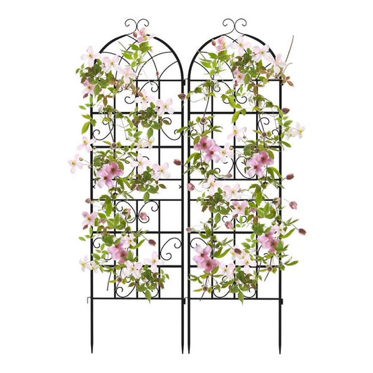 2 Pack 86.5 X 20 Inches Metal Garden Trellis For Climbing Plants