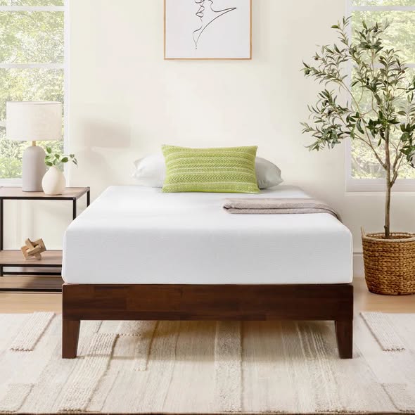Sleep by Wayfair 8" Plush Memory Foam Mattress Twin Size