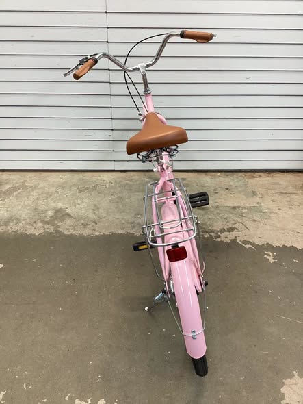 24 Inch Beach Cruiser Bike for Women with Rear Rack - Pink