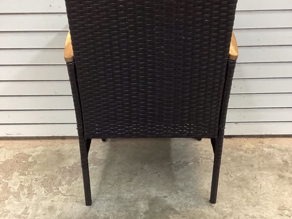 Garden Set of 2 Rattan Black Iron Frame Stationary Dining Chairs