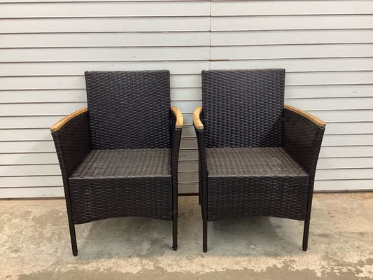 Garden Set of 2 Rattan Black Iron Frame Stationary Dining Chairs