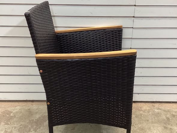 Garden Set of 2 Rattan Black Iron Frame Stationary Dining Chairs