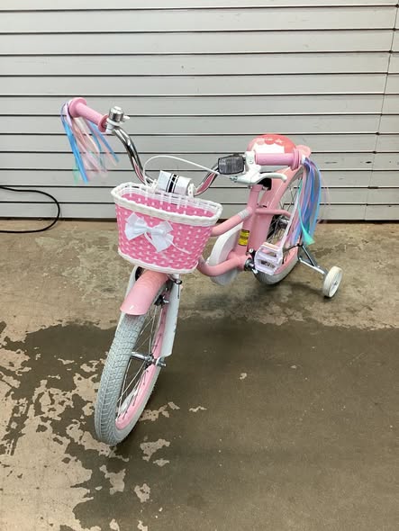 18” Inch Kids Bike Adjustable with Basket and Streamers Pink - Princess of the Sea Theme