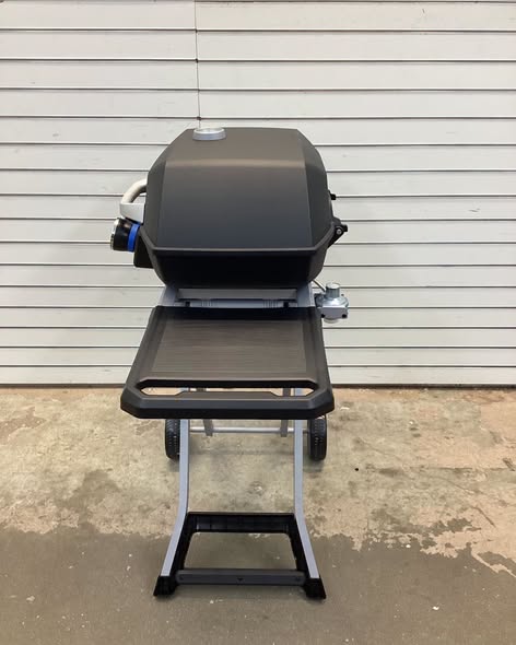 Pit Boss 290-Sq. in Black Portable Liquid propane Grill