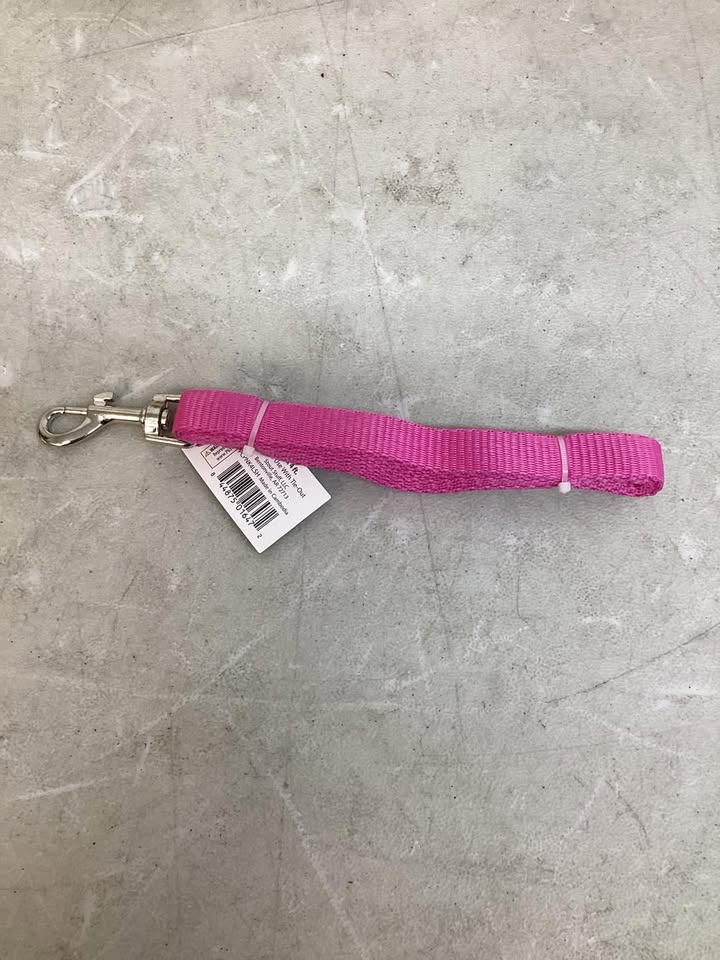4' Solid Polyester Leash, Pink, M