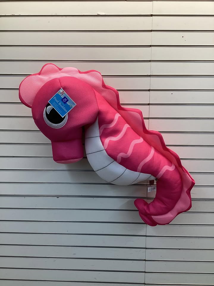 Member's Mark Pool Buddies Float