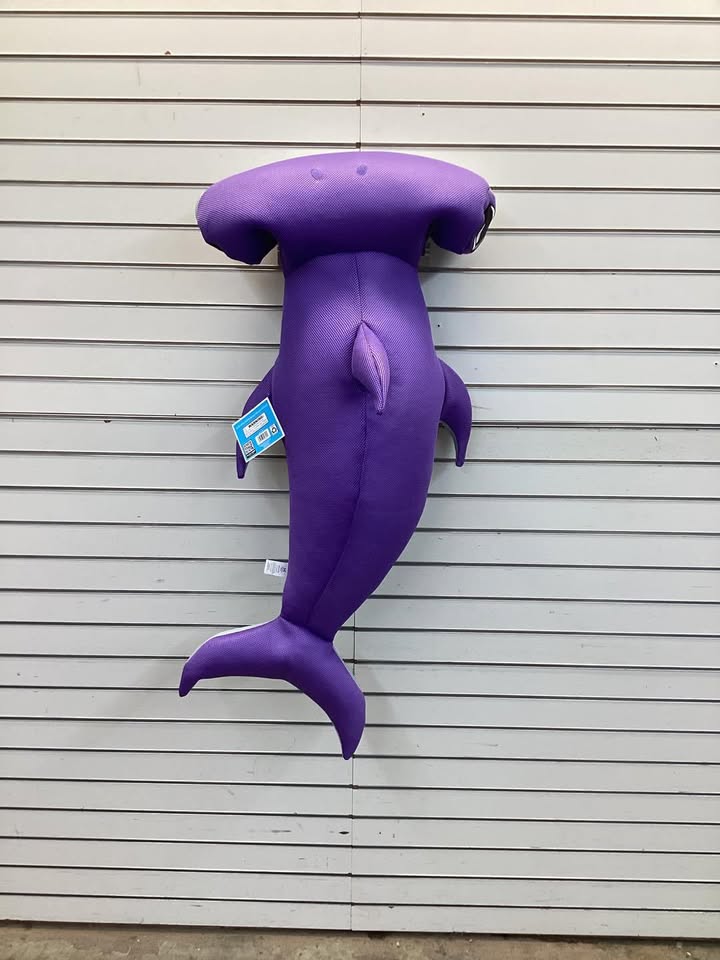 Member's Mark Pool Buddies Float