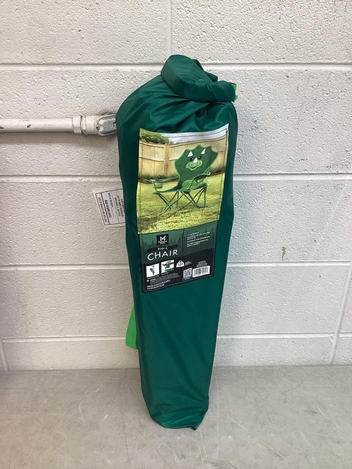 Member's Mark Kid's Dinosaur Chair
