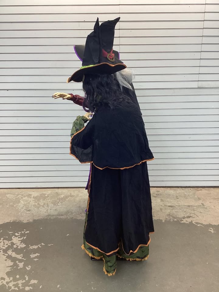 Member's Mark Pre-Lit Animated Crystal Ball Witches