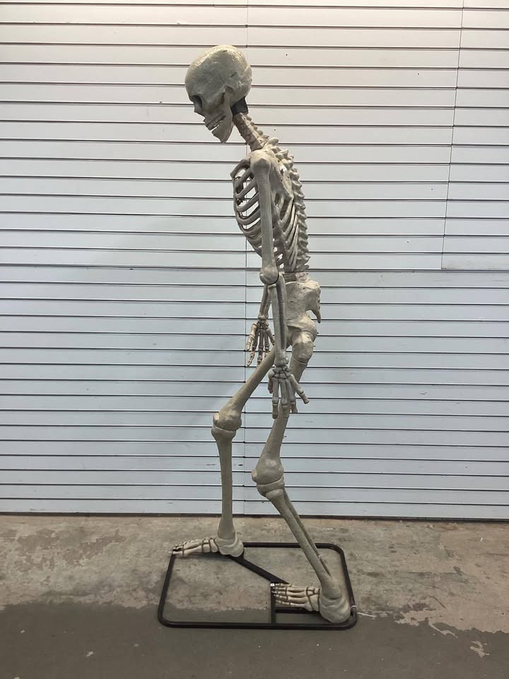 Haunted Hill Farm 8.0-Ft. Tall Motion-Activated Towering Skeleton, Premium Talking Halloween Animatronic, Plug-In
