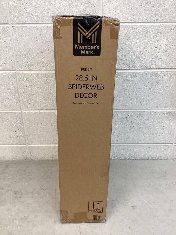 Member's Mark 28.5" Pre-Lit Spiderweb Decor