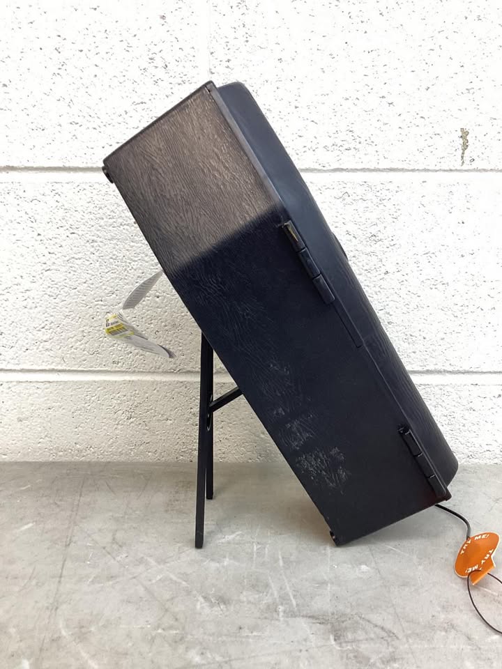 5" Light and Sound Skeleton in Coffin Halloween Decorative Prop Black - Hyde and EEK! Boutique