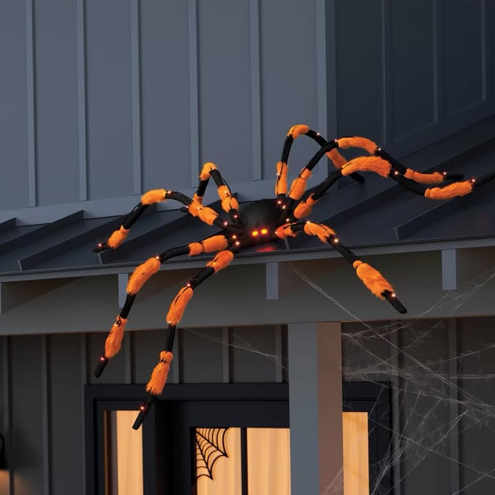 Halloween LED 5' W Posable Orange/Black Spider with Red Eyes - Hyde and EEK! Boutique